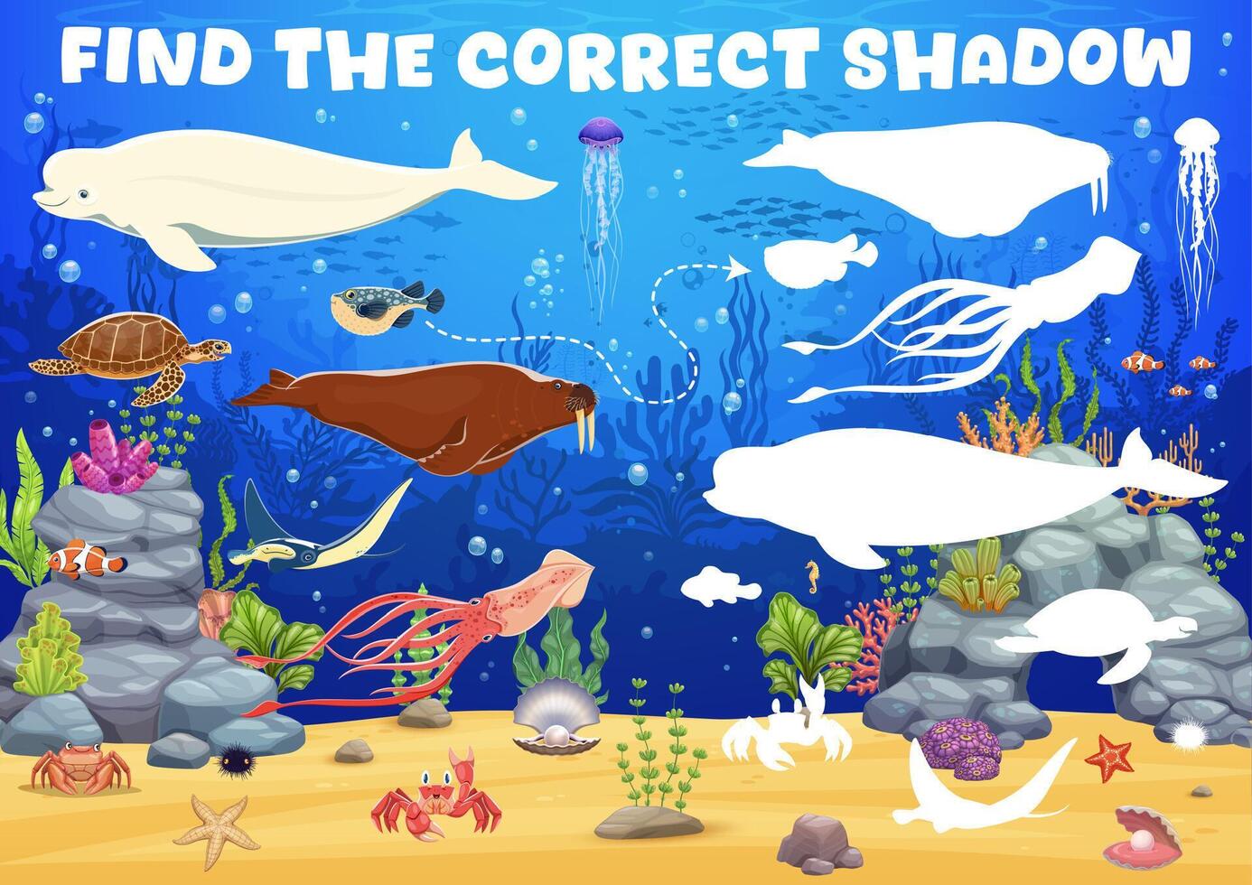 Kids game to find correct shadow of sea animals vector