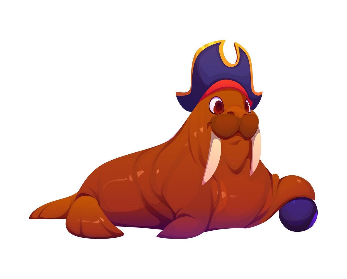 cartoon funny walrus sea animal pirate character vector
