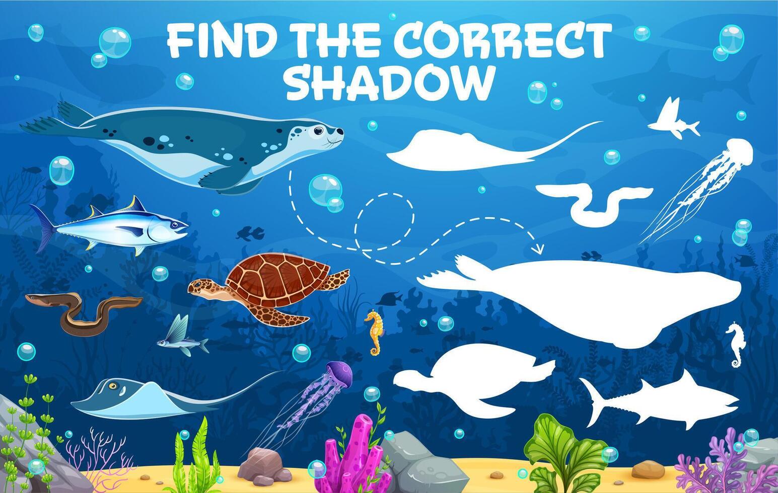 Find correct shadow of cartoon funny sea animals vector