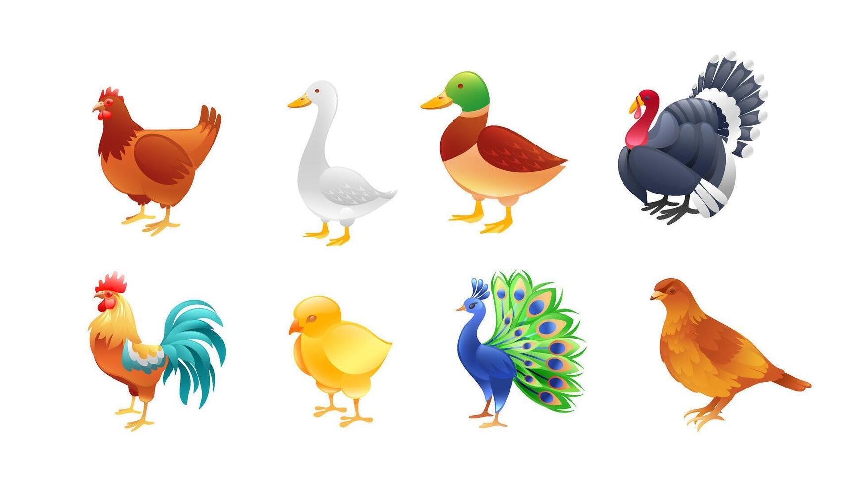 Set of illustrations of farm birds, chicken, duck, goose, turkey, rooster, peacock, chick, quail, realistic in 3d style. vector