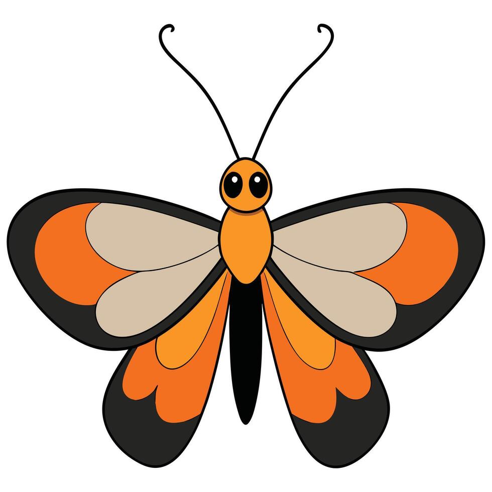 An orange and black butterfly with black wings vector