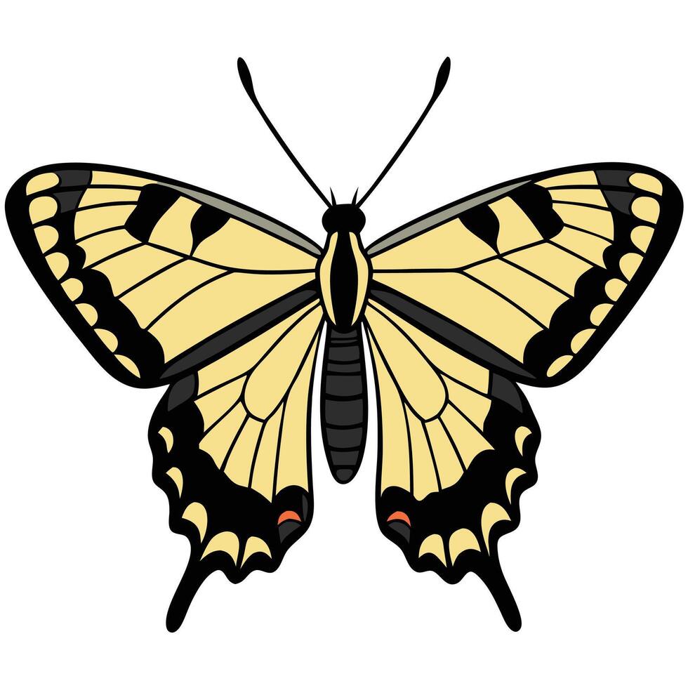 A butterfly with black and yellow wings vector