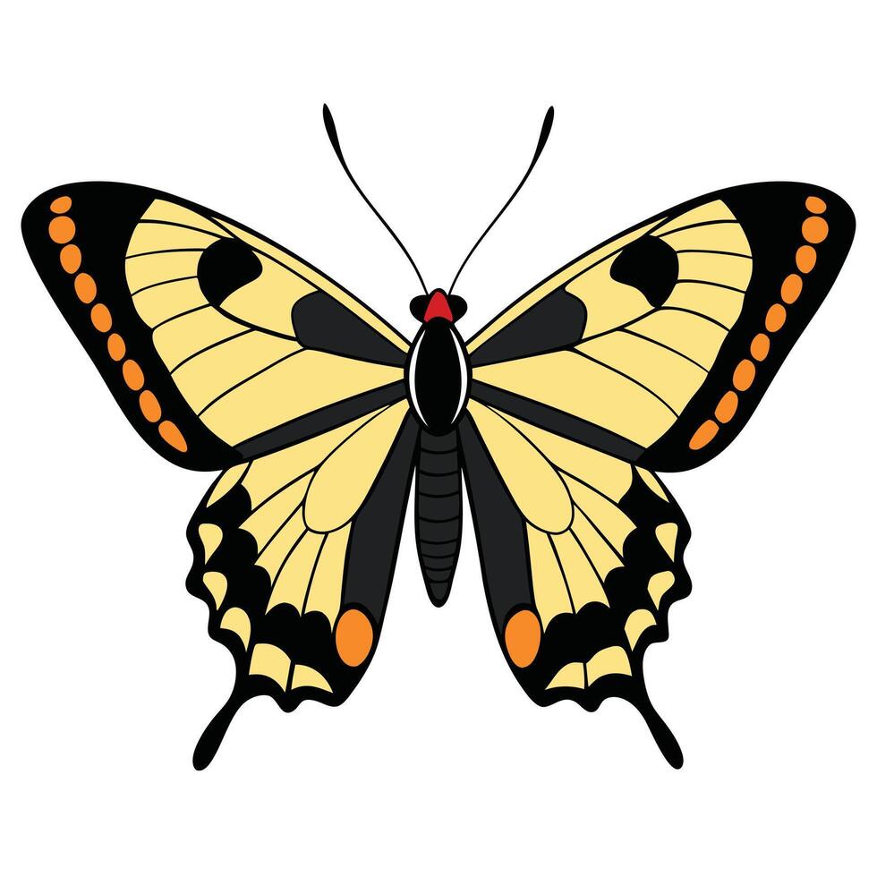 A butterfly with black and yellow wings vector