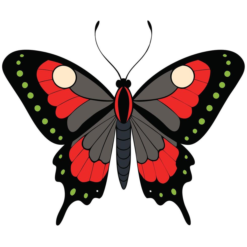 A red and black butterfly with black spots vector
