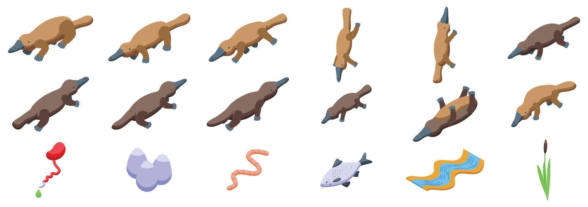 Duck-billed platypus icons set. Platypus poses and habitat icons vector