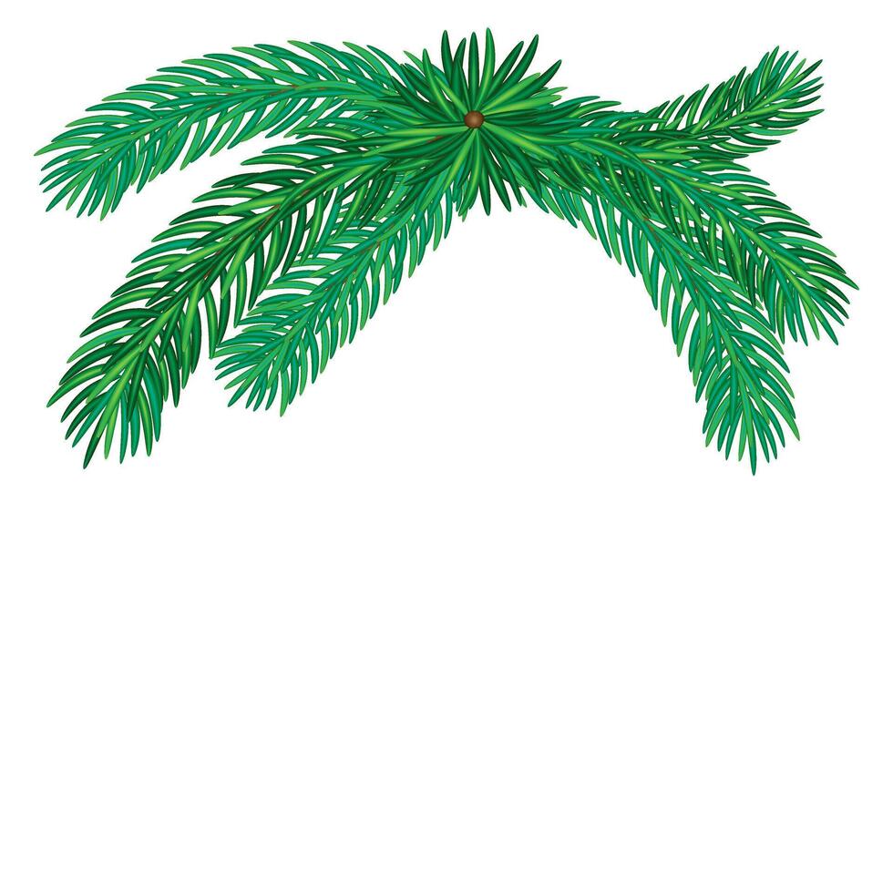 christmas tree branch vector