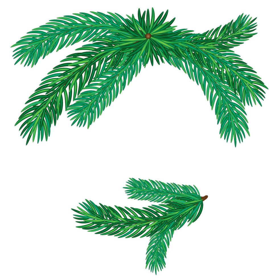 christmas tree branches illustration vector
