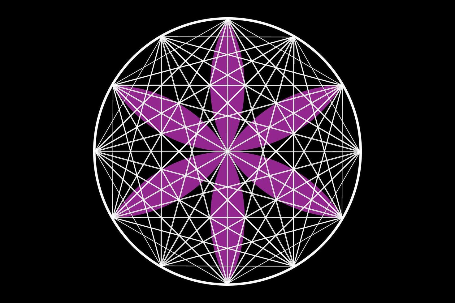 Seal of sacred geometry, Flower of life, purple lotus flower. mandala ornament Seed of Life icon, esoteric or spiritual symbol. Logo line art design isolated on black background, illustration vector