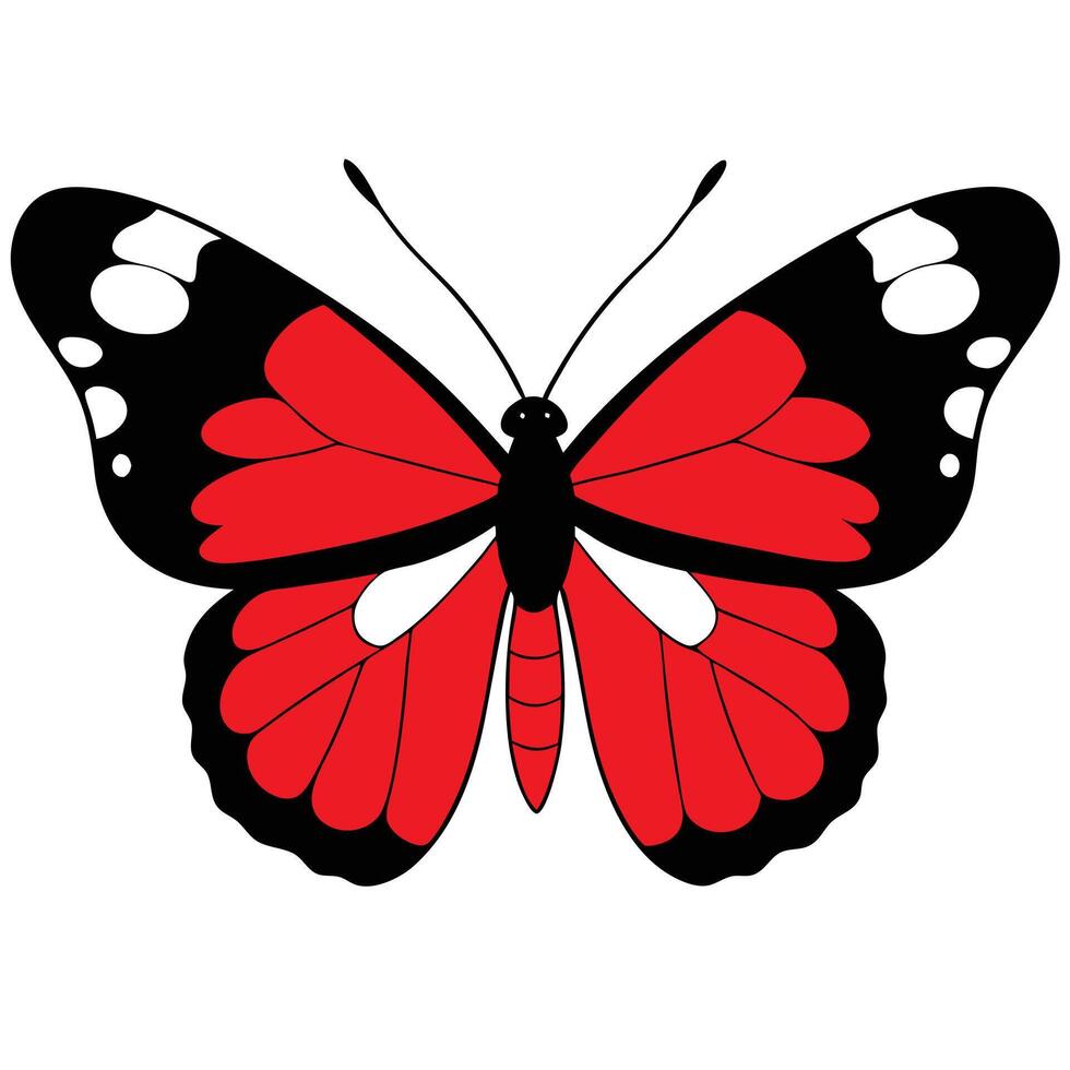 A red and black butterfly with white wings vector