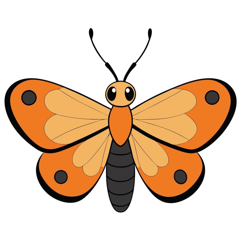 An orange butterfly with black spots on its wings vector