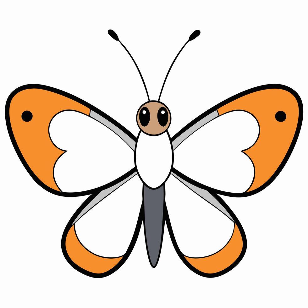An orange and white butterfly with black spots vector