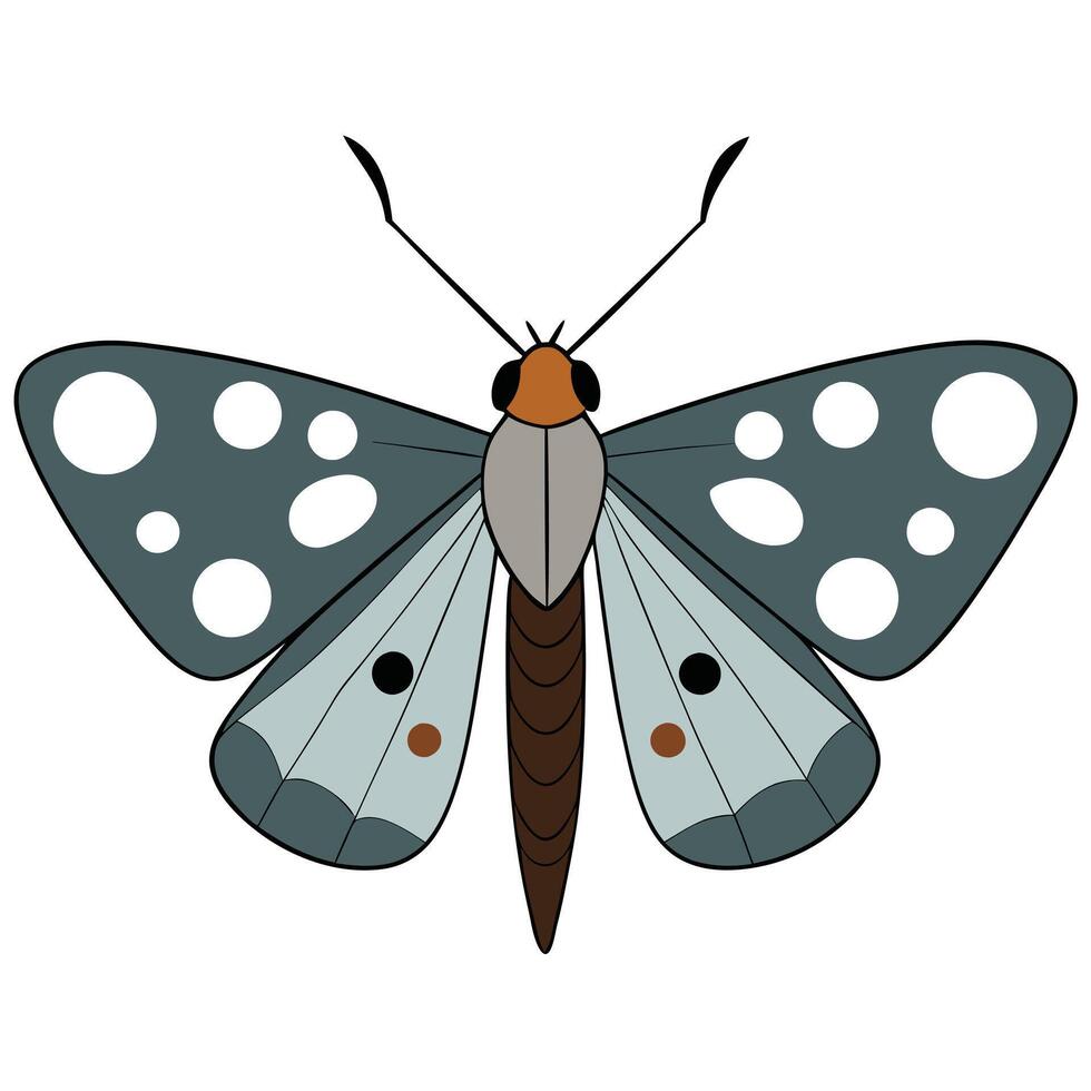 A butterfly with black and white spots on its wings vector