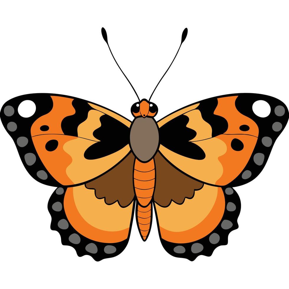 An orange butterfly with black and white markings vector