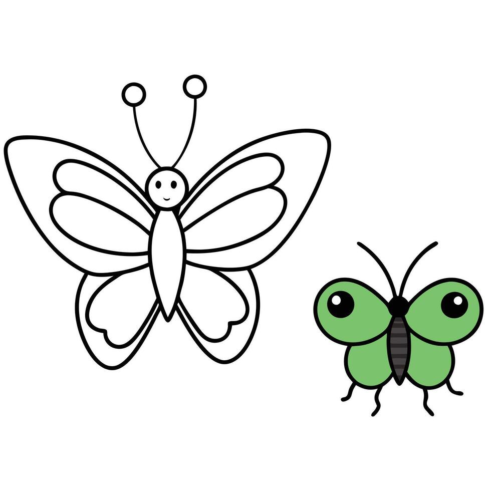Butterfly and butterfly coloring pages vector