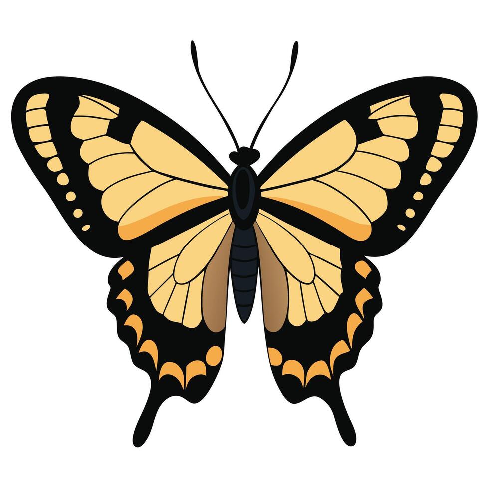 A butterfly with black and yellow wings vector