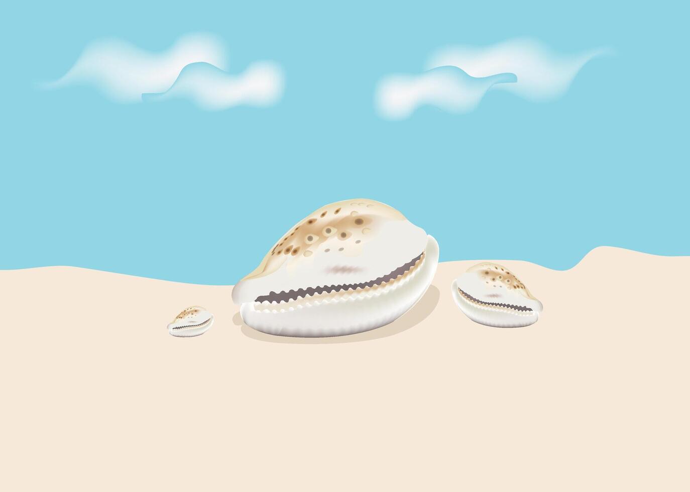 Sea shells on the beach illustration vector