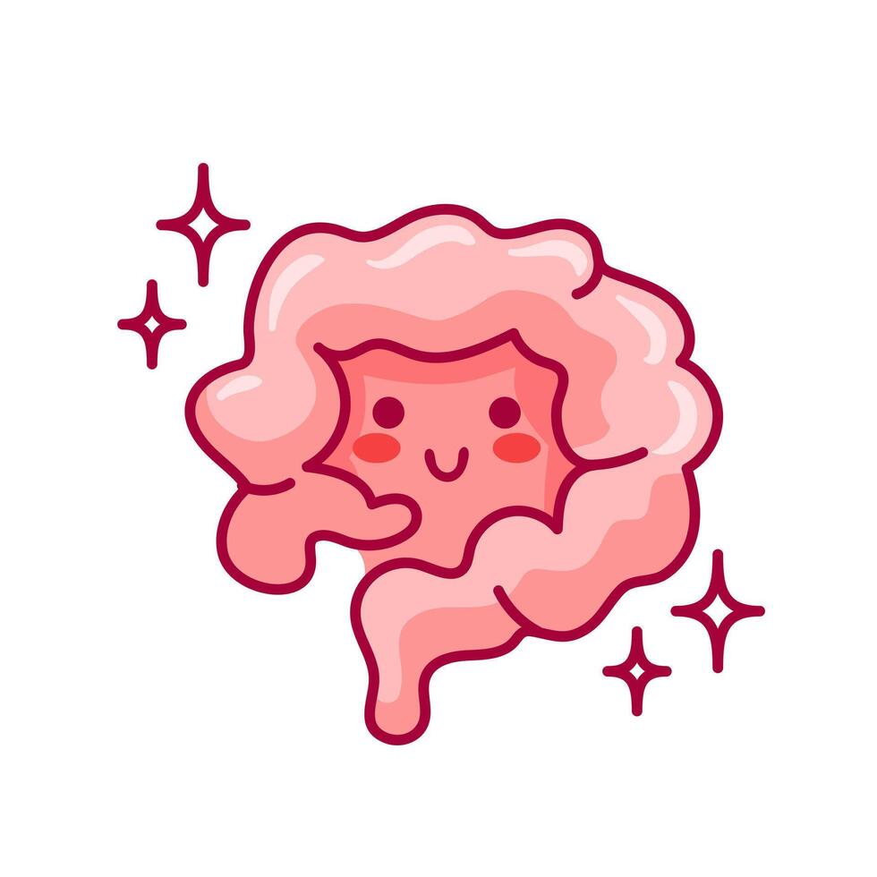 Intestines. Cute character in kawaii style. A healthy organ from the digestive system showcased in illustration. Ideal for stickers, books, design elements, and medical brochures. vector