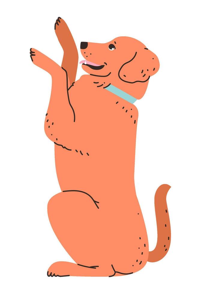 Labrador Retriever with a wagging tail. Pet flat illustration. vector
