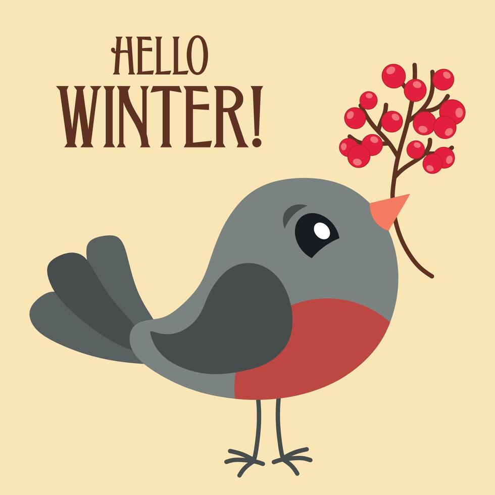 Bullfinch with a branch of rowan berries winter postcard vector