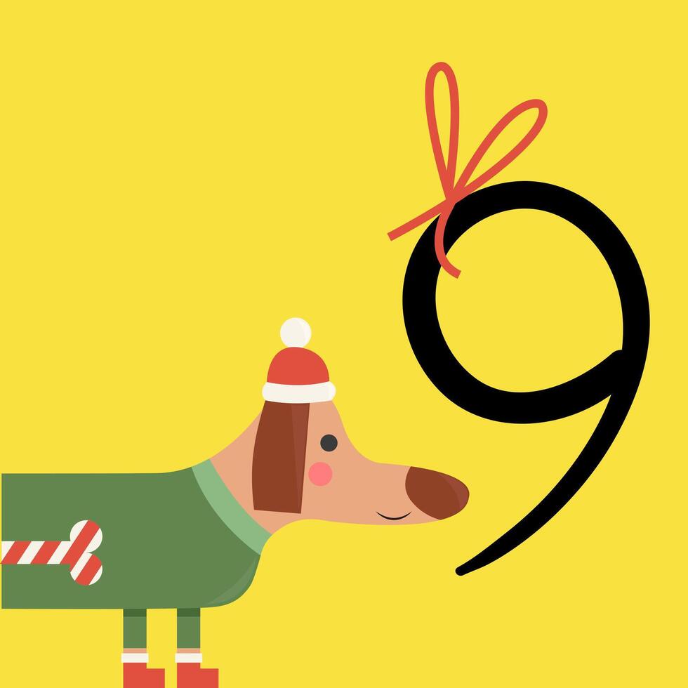 Christmas advent calendar with dachshund in Christmas costume. 9th of december day. flat illustration vector