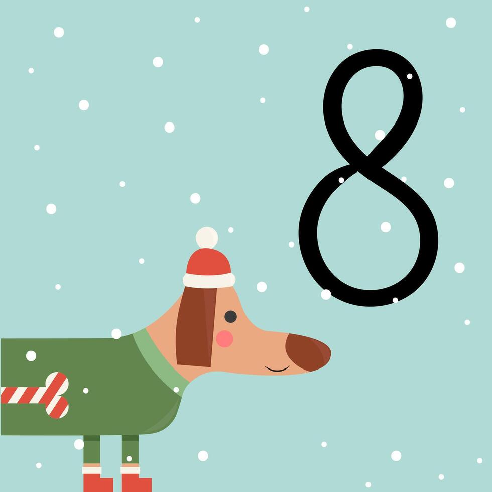 Christmas advent calendar with dachshund in Christmas costume. 8th of december day. flat illustration vector