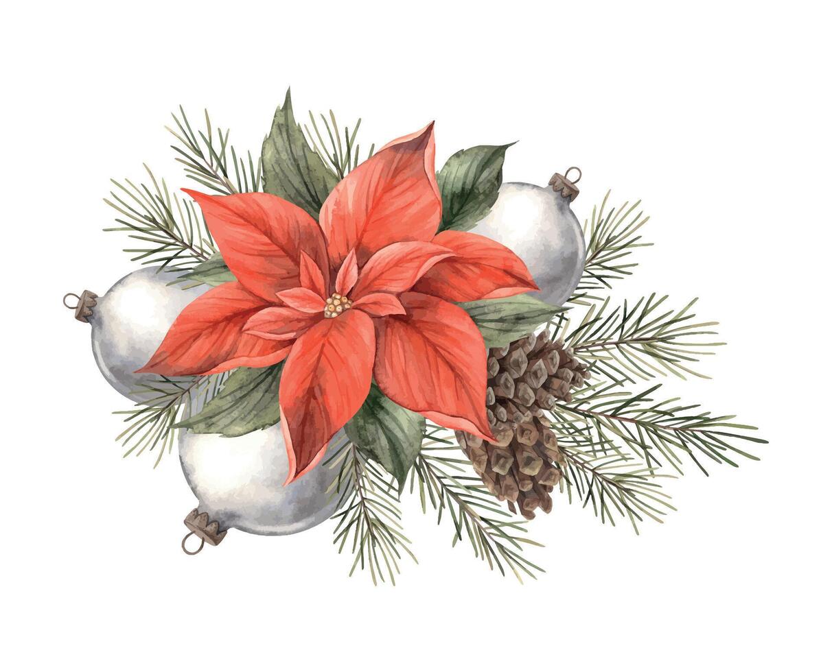 Red poinsettia flower with fir branches and brown cones. Watercolor botanical bouquet with round glass balls, hand drawn. Drawing for Christmas and New Year holidays, invitations, cards, banners. vector