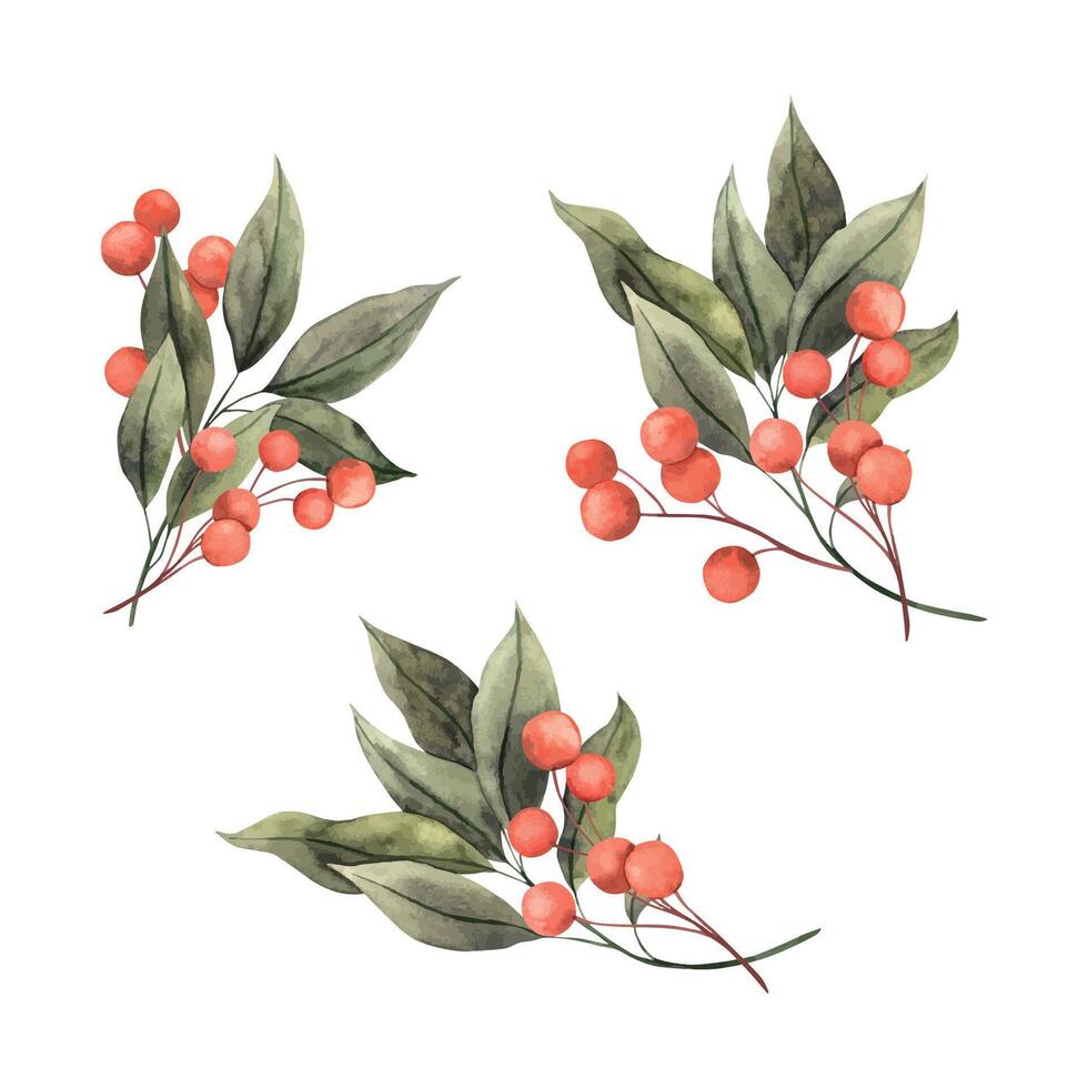 Christmas red berries with green leaves. Hand drawn watercolor botanical illustration set on isolated background. Drawing for Christmas and New Year holidays, greeting cards, banners, packaging. vector