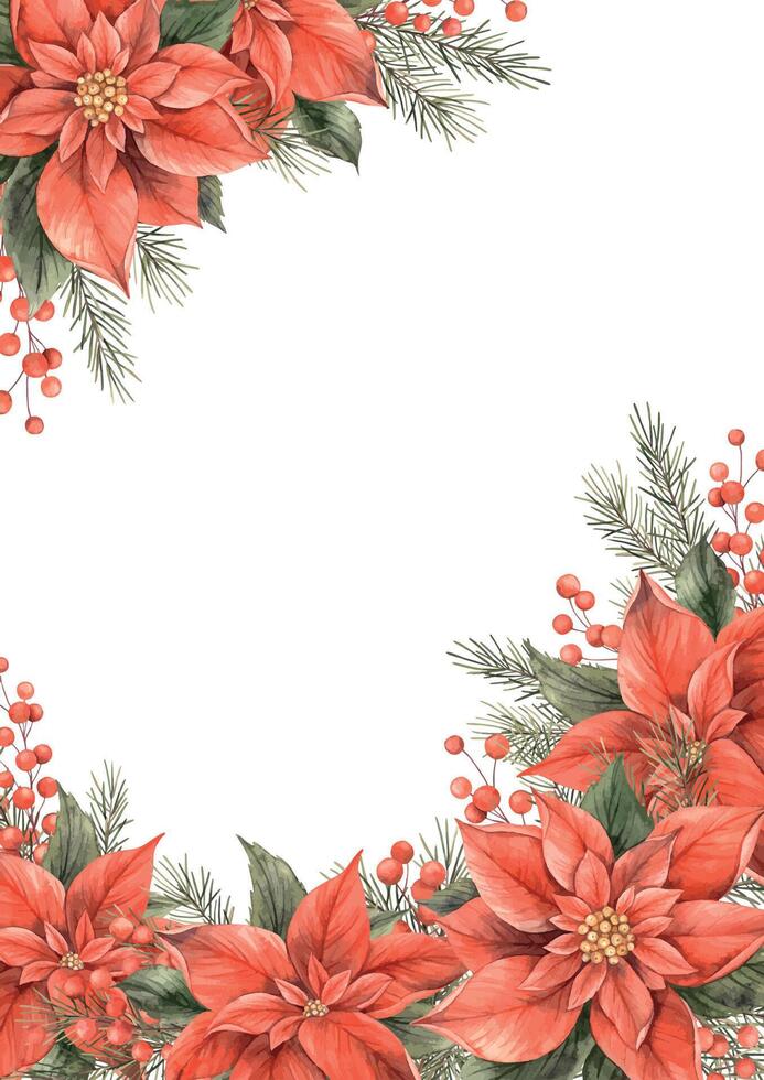 Poinsettia, Christmas red flower, green leaves and red berries. Watercolor botanical frame for a card in Christmas style.Drawing for Christmas and New Year holiday designs, invitations, cards, banners vector