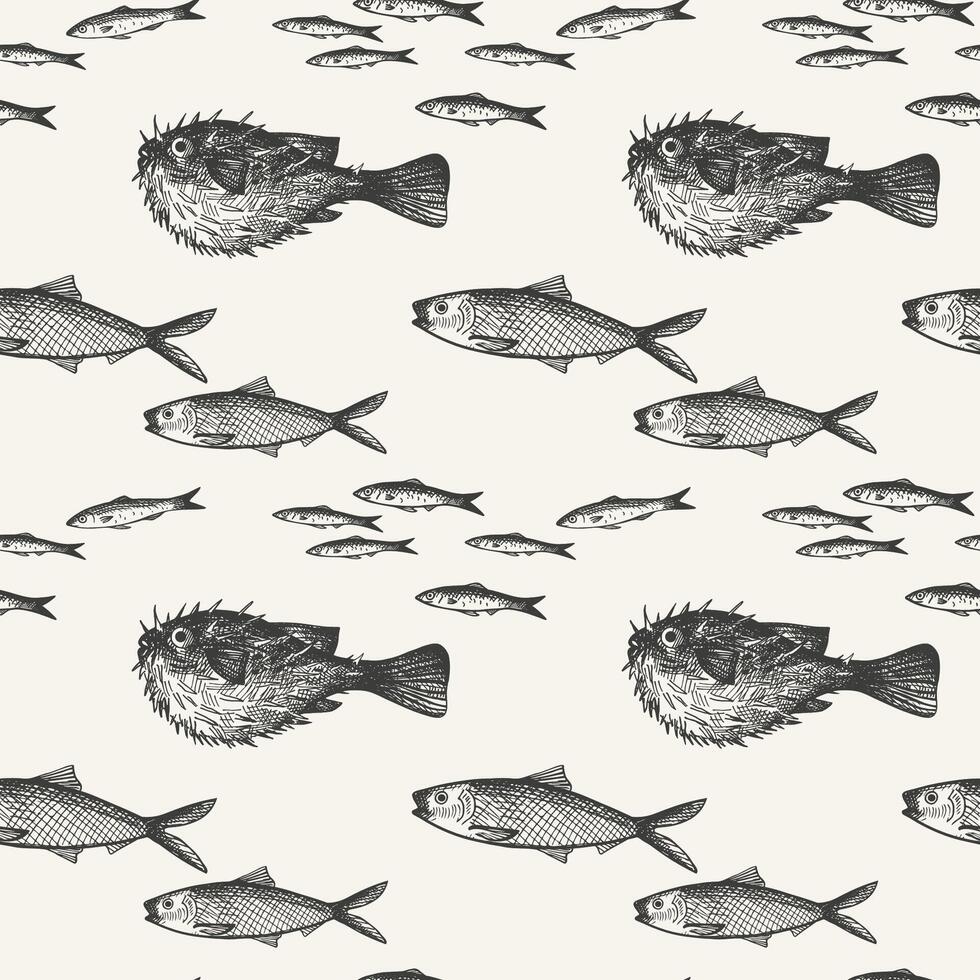 engraved seamless pattern with Fugu fish, Anchovy, fingerling, carp, sardine. Hand drawn repeating background with sea animals. Seafood, delicacy, marine life, animals. For textile, paper vector