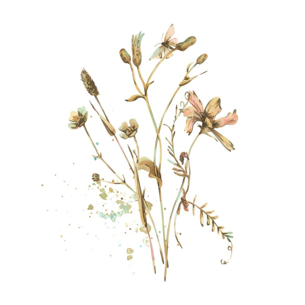 Field, wild flowers and herbs cosmos, buttercups, dandelion, mouse pea with a butterfly. Watercolor illustration hand-drawn in beige, brown and ocher colors. Composition isolated from the background. vector