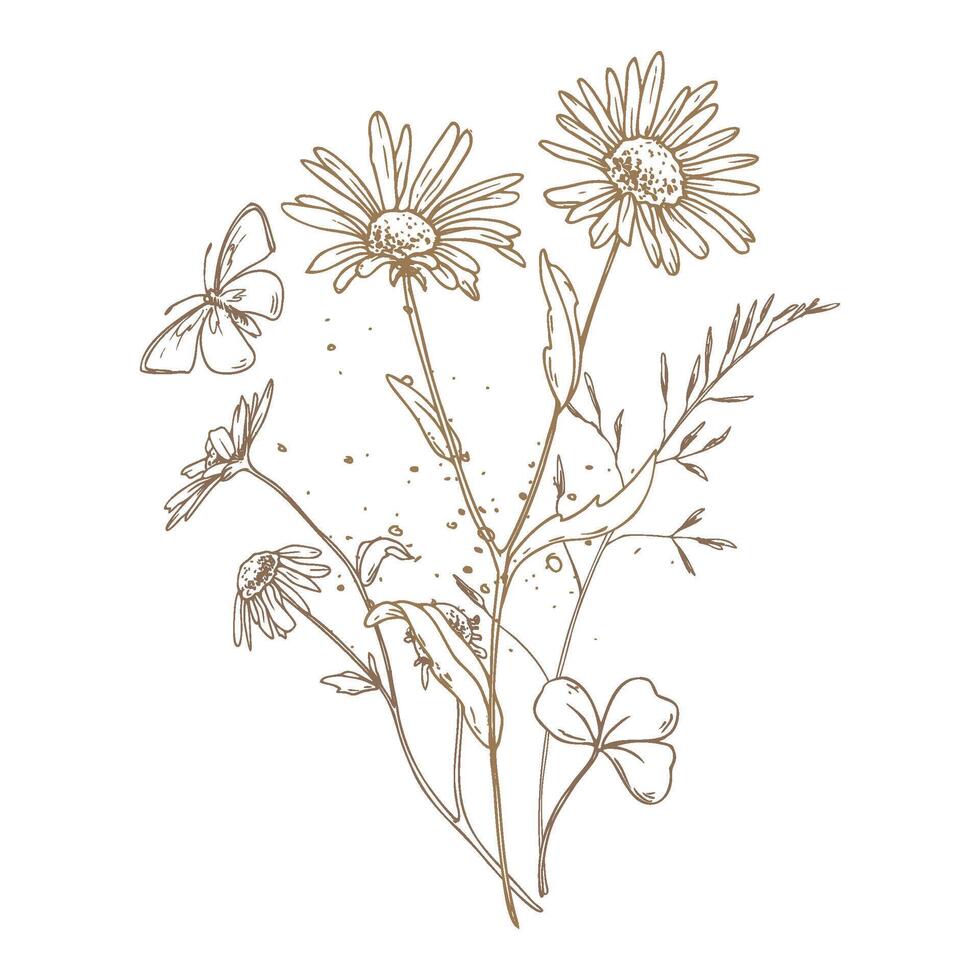 Field, meadow, wild flowers and herbs chamomile, meadow bluegrass, clover with a butterfly. Line art is a simple hand-drawn illustration in beige, ochre, brown ink. Bouquet flowers EPS vector