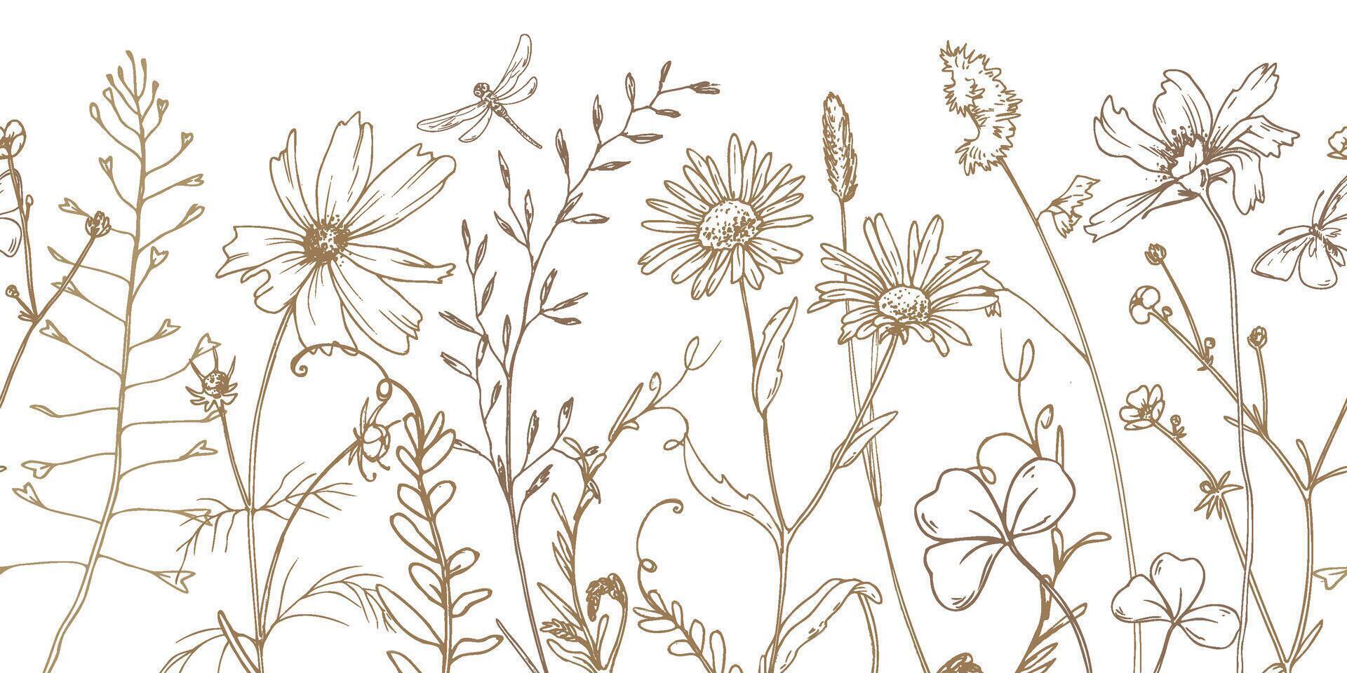 Field, meadow, wild flowers and herbs cosmos, chamomile, clover and insects. Line art is a simple hand-drawn illustration in beige, ochre, brown ink. Seamless border pattern EPS vector