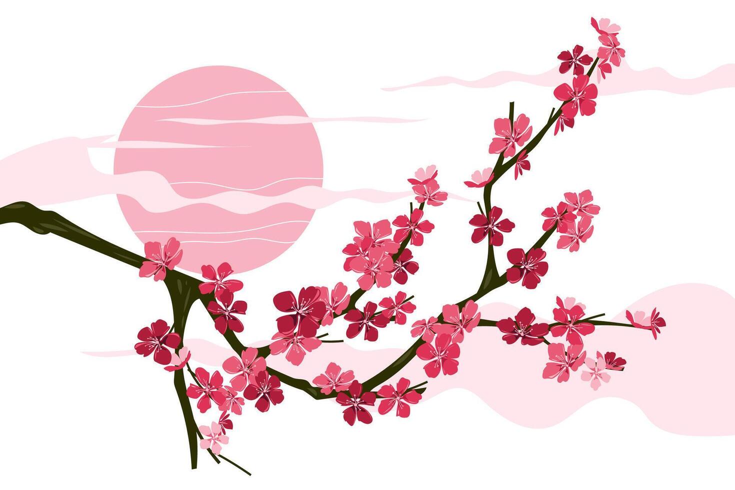 Sakura Background cherry blossom spring flower Japan vector