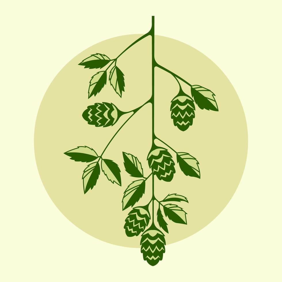 Hop branch with leaves and cones for beer graphic element vector