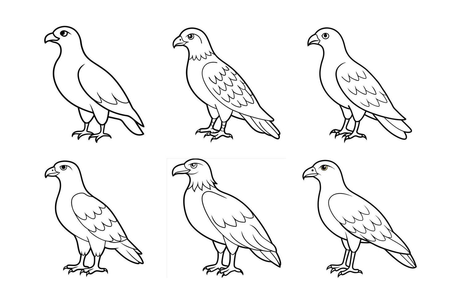 Buzzard bird standing pose vector