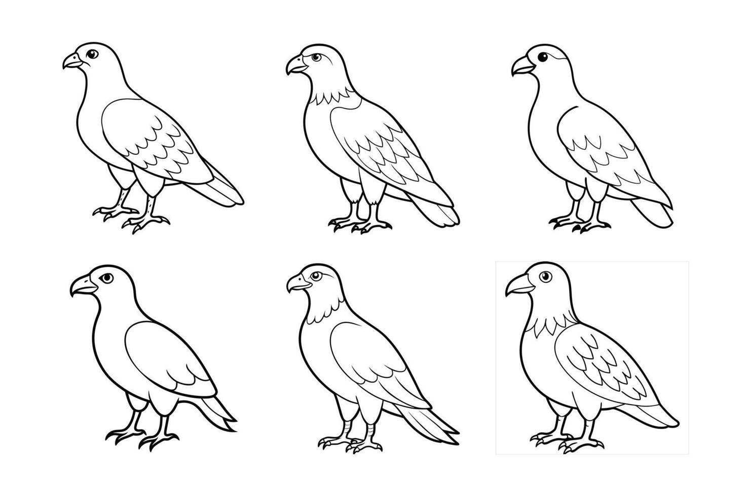 A Buzzard bird is standing vector