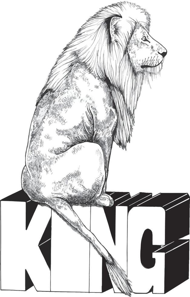 Majestic Wild Lion sitting on KING lettering with isolated background. digital hand drawing Illustration vector