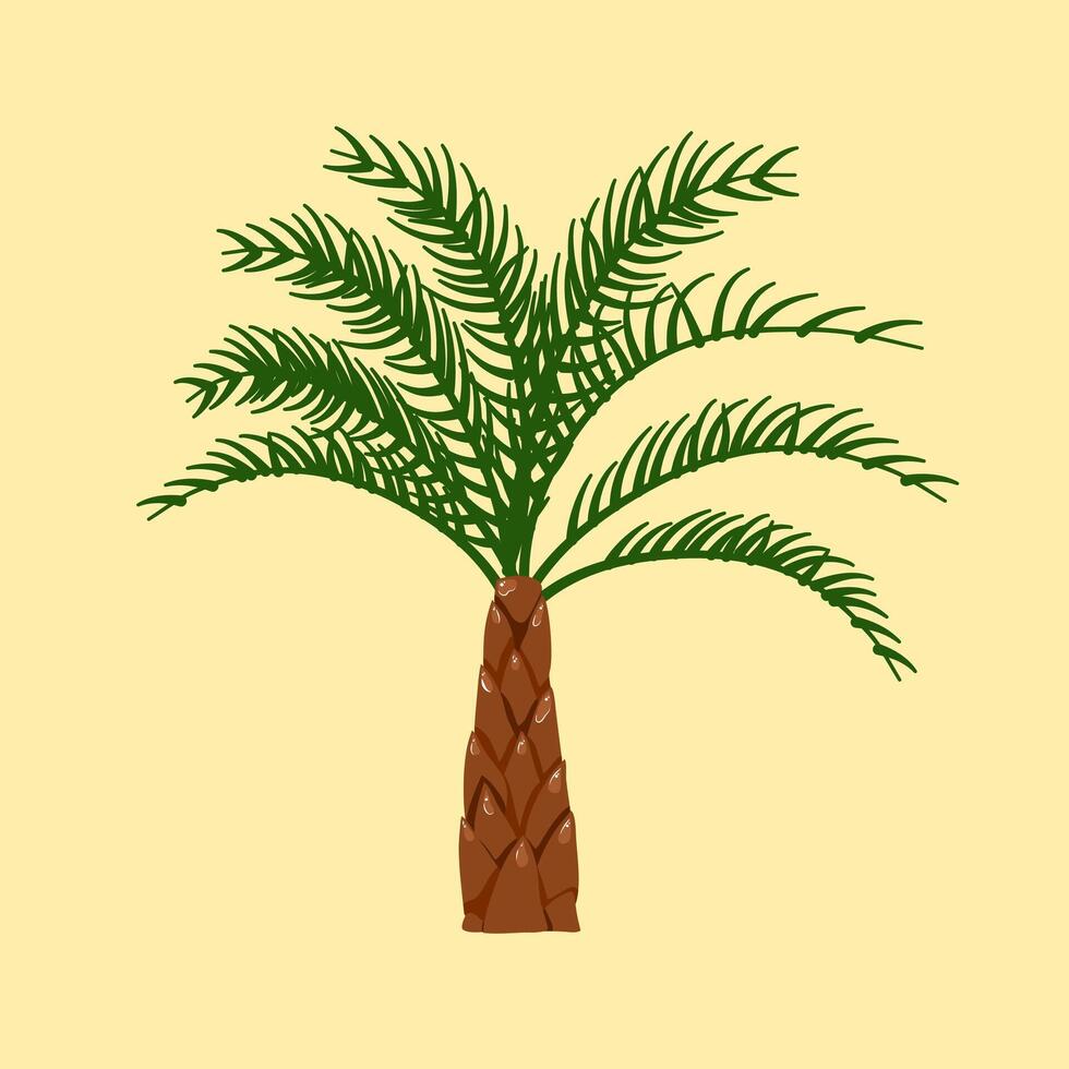 A palm tree with a brown trunk and green leaves vector
