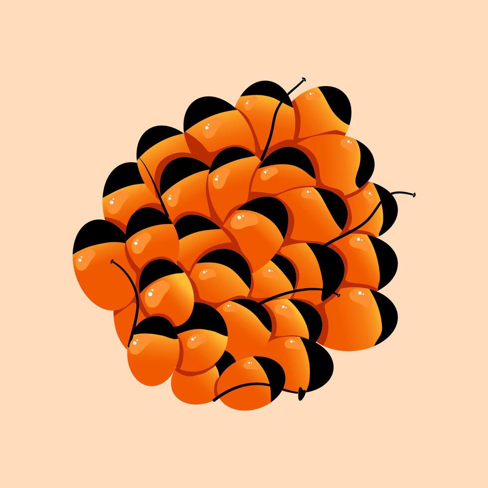 A bunch of orange and black fruit with a white background vector