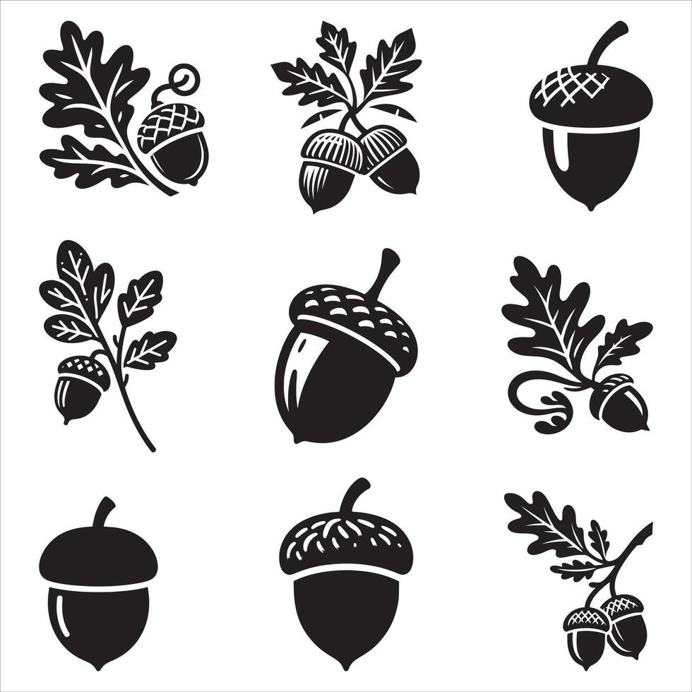 Acorns With Leaf Abstract, Acorn, Autumn, Botany, Icons Set Illustration On White Background vector