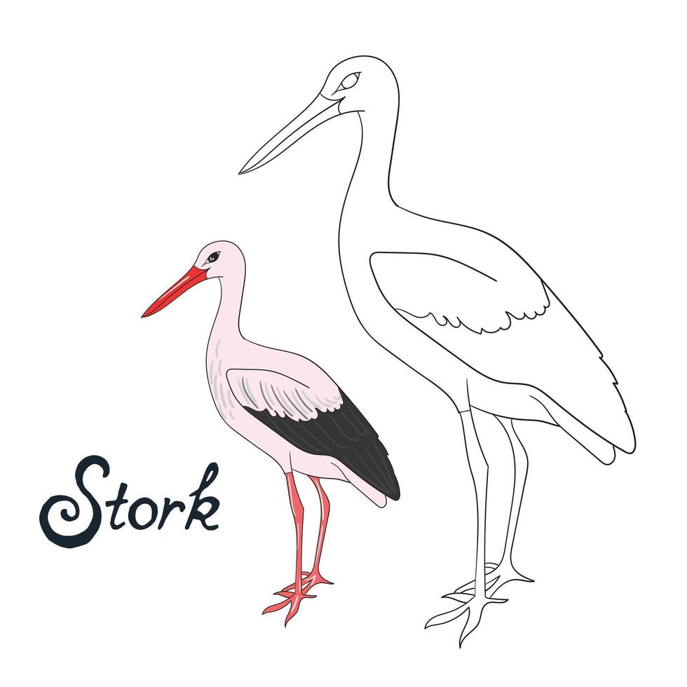 Educational game coloring book stork bird cartoon doodle hand drawn illustration vector