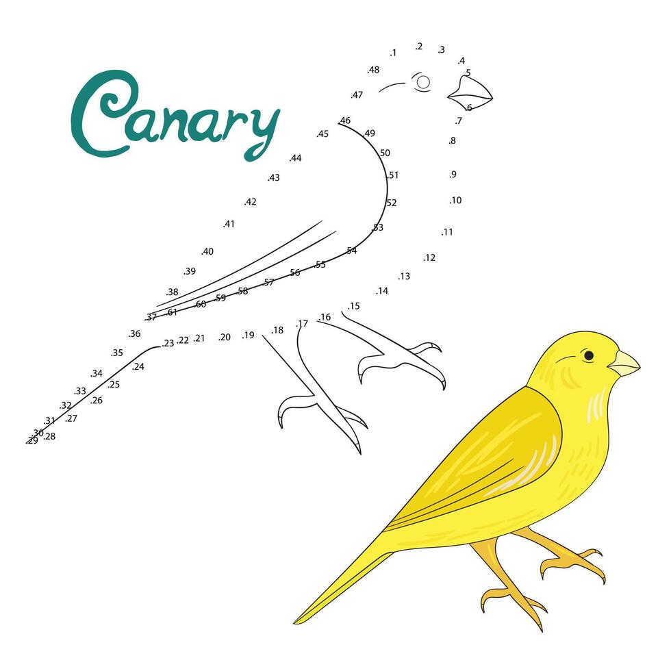 Educational game connect the dots to draw canary bird cartoon doodle hand drawn illustration vector