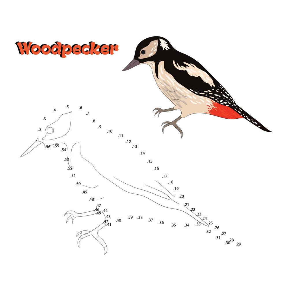 Educational game connect the dots to draw woodpecker bird cartoon doodle hand drawn illustration vector