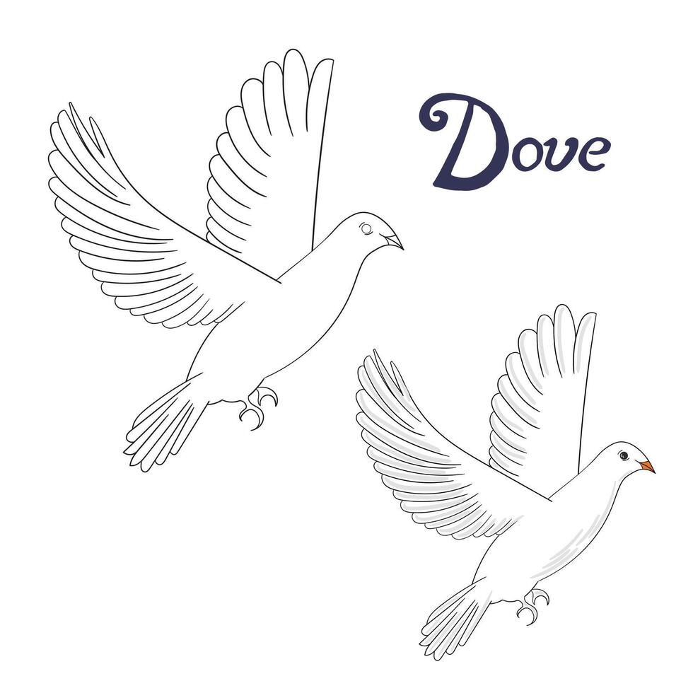 Educational game coloring book dove bird cartoon doodle hand drawn illustration vector