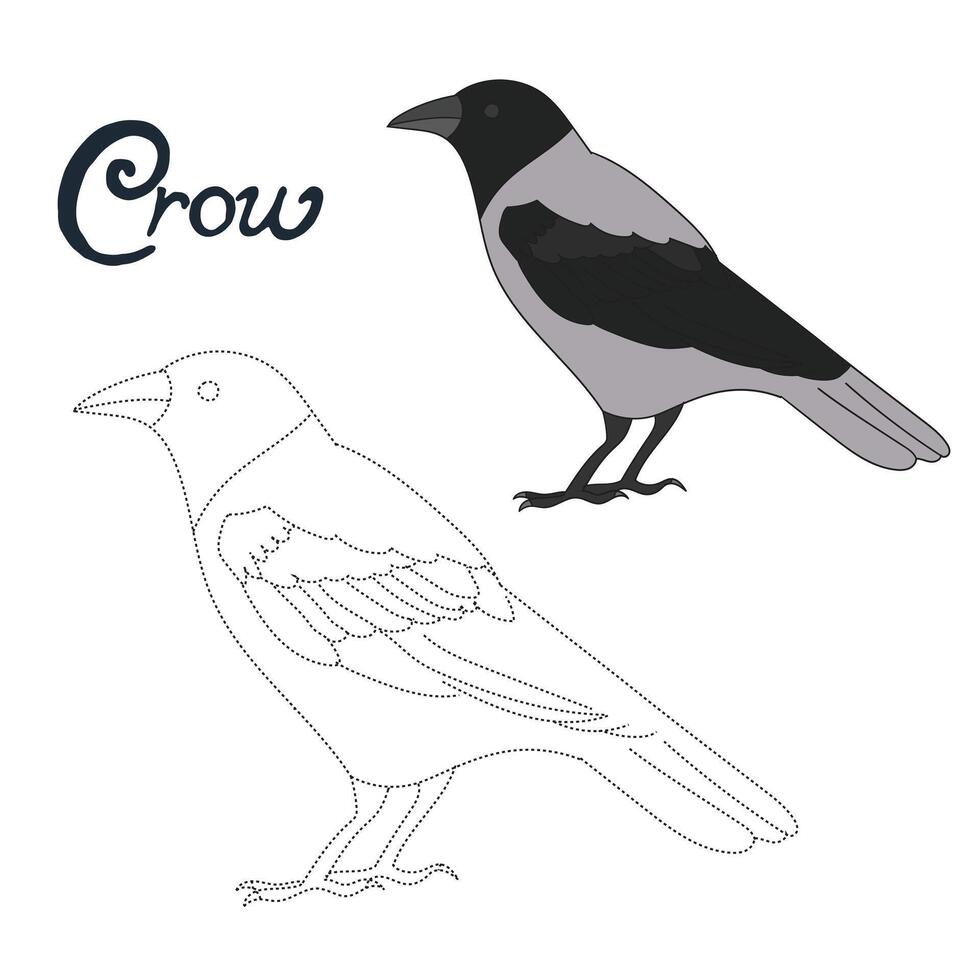 Educational game connect the dots to draw crow bird cartoon doodle hand drawn illustration vector