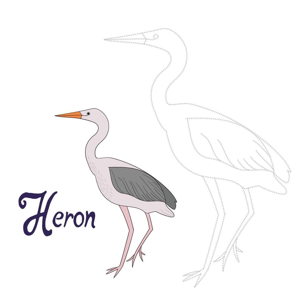Educational game connect the dots to draw heron bird cartoon doodle hand drawn illustration vector
