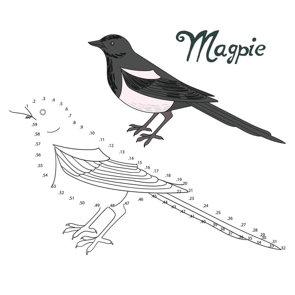 Educational game connect the dots to draw magpie bird cartoon doodle hand drawn illustration vector