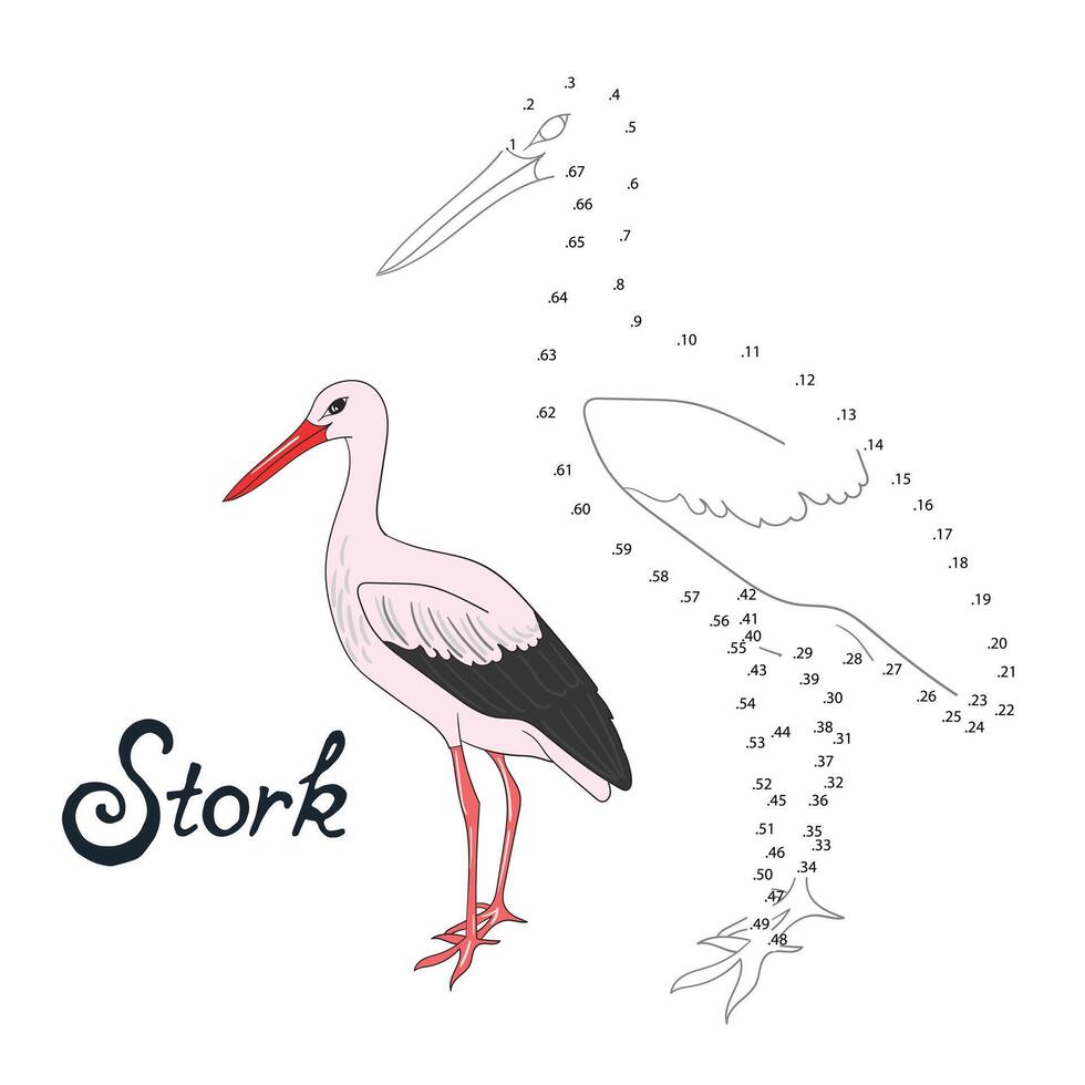Educational game connect the dots to draw stork bird cartoon doodle hand drawn illustration vector