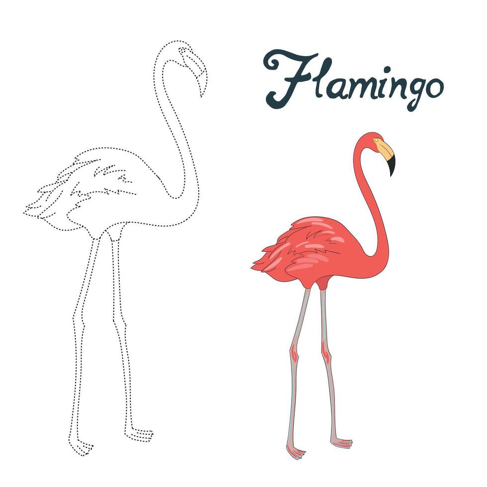 Educational game connect the dots to draw flamingo bird cartoon doodle hand drawn illustration vector