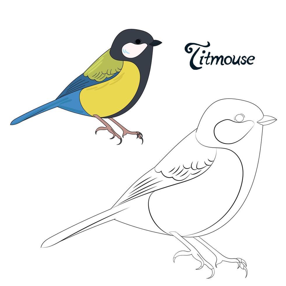Educational game coloring book titmouse bird cartoon doodle hand drawn illustration vector